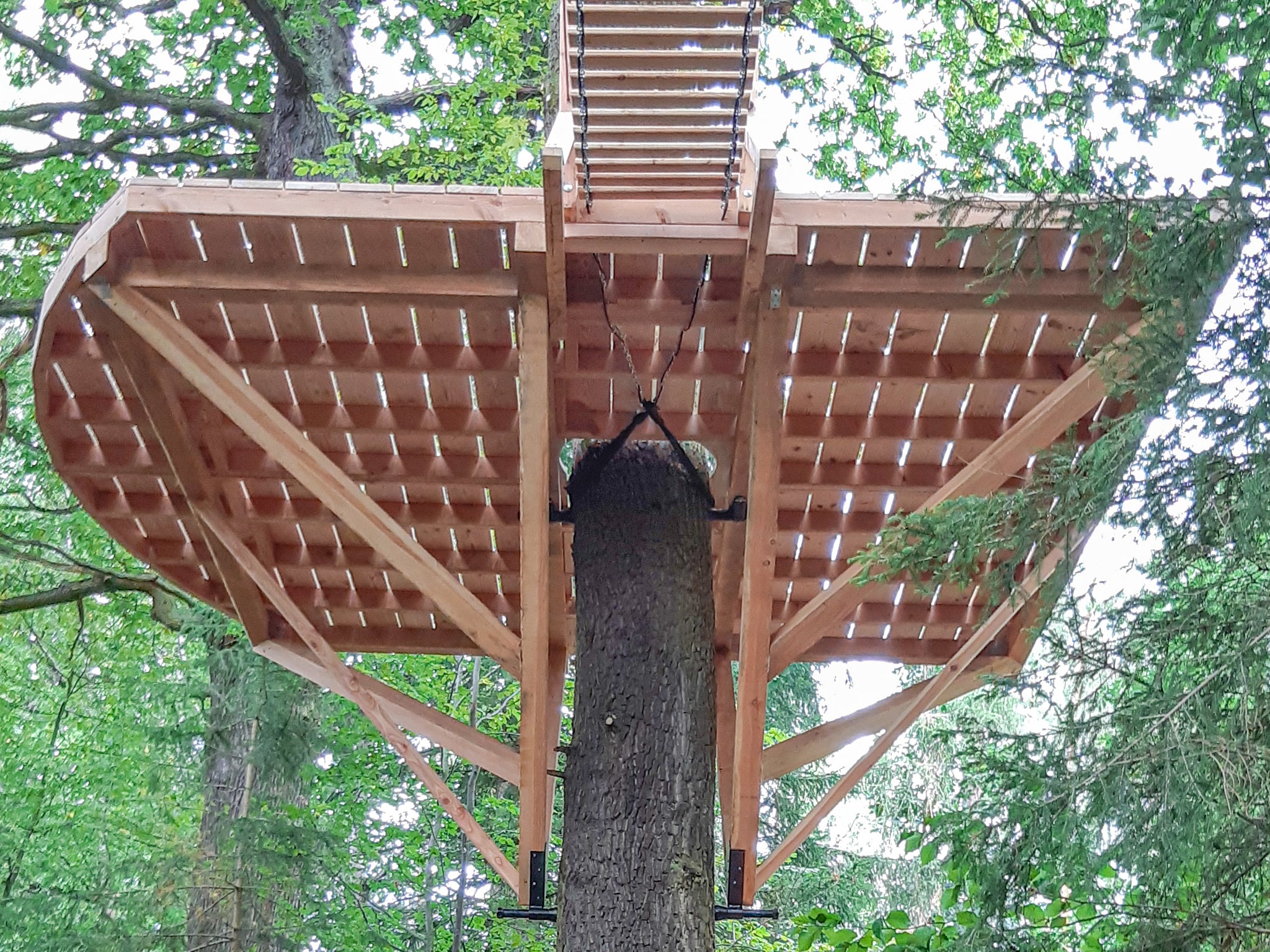 Baumhaus bauen DIY – Anleitung – Plattform Hängebrücke – Wie befestigt man eine Hängebrücke an einem Baum mit einer Befestigungsschlinge?