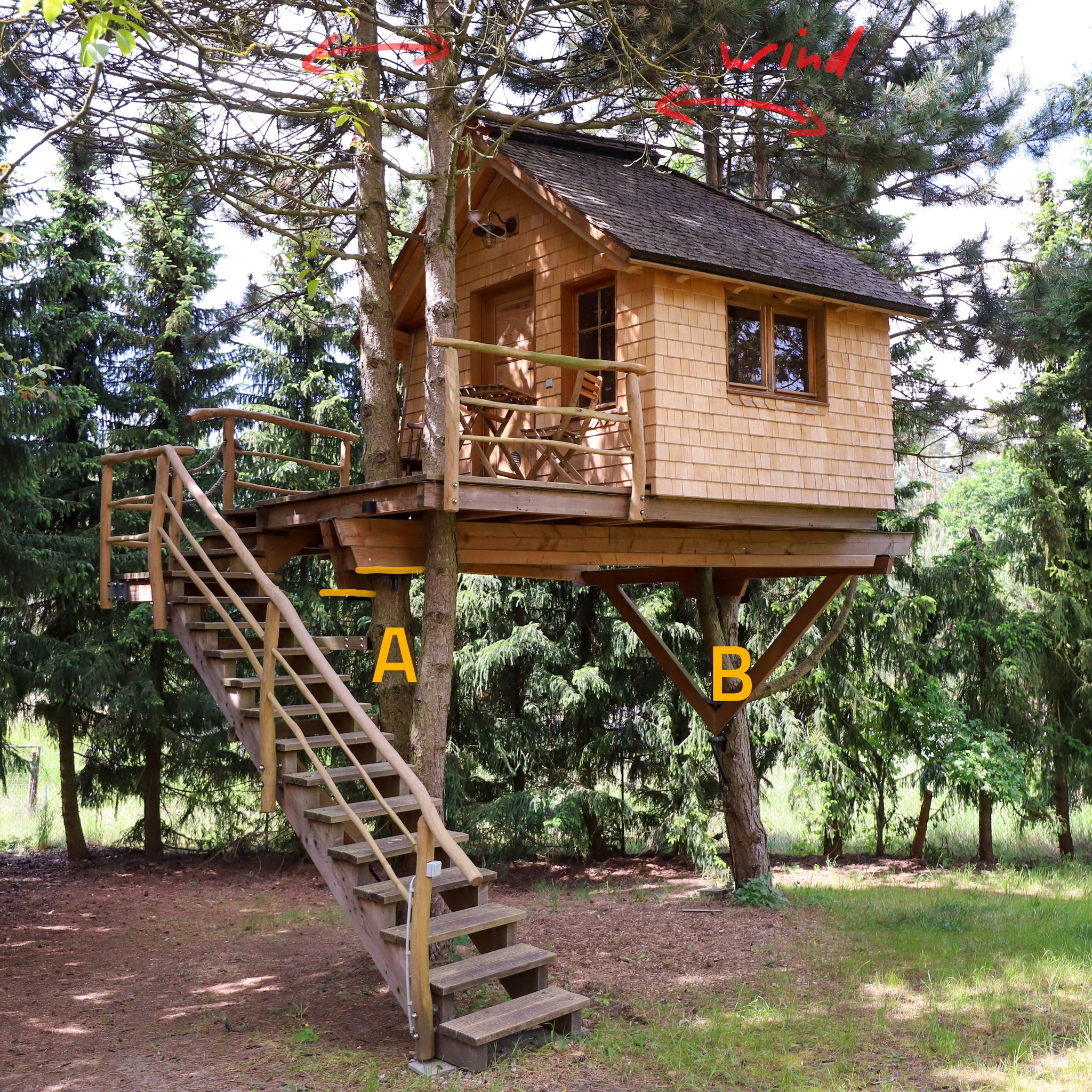 Baumhaus Befestigung - Sicherheit Dünne Bäume