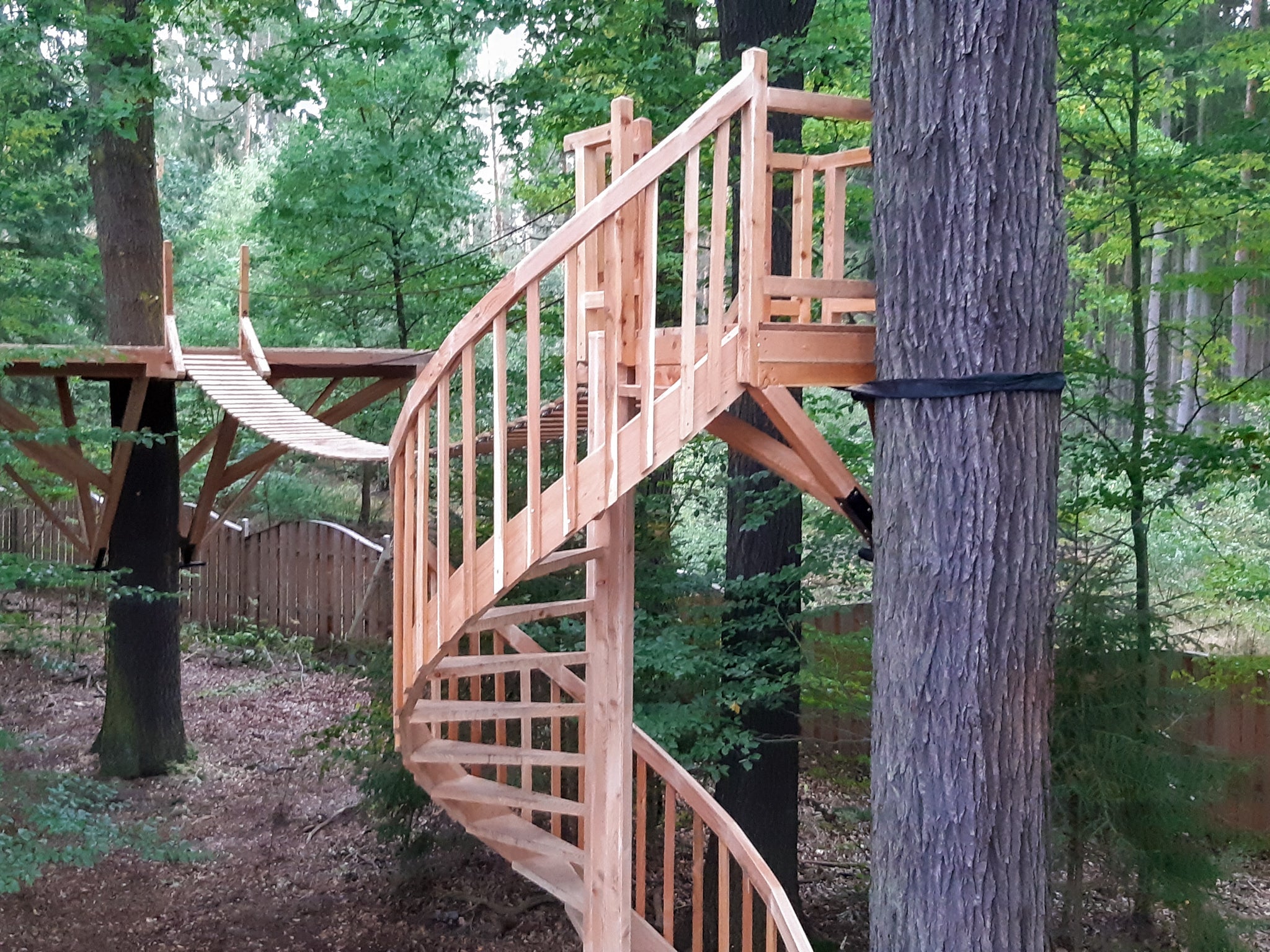 Baumhaus Inspiration DIY – Anleitung So baue ich eine spiralförmige Sternleiter für ein Baumhaus mit Hängebrücke – Profi Hardware Fachhandel