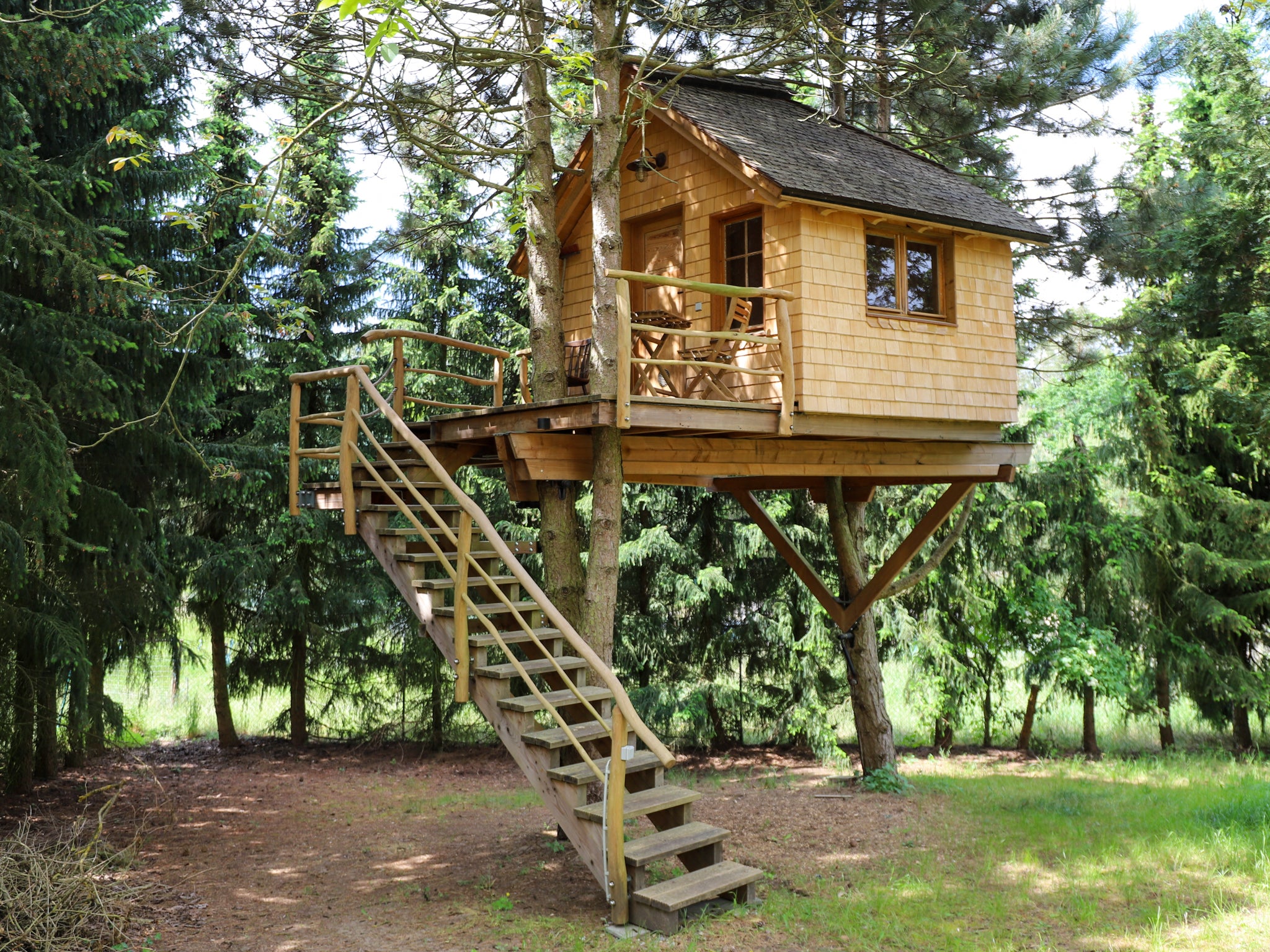 Baumhaus selber bauen – Baumhaus mit Treppe zwischen zwei Bäumen befestigt