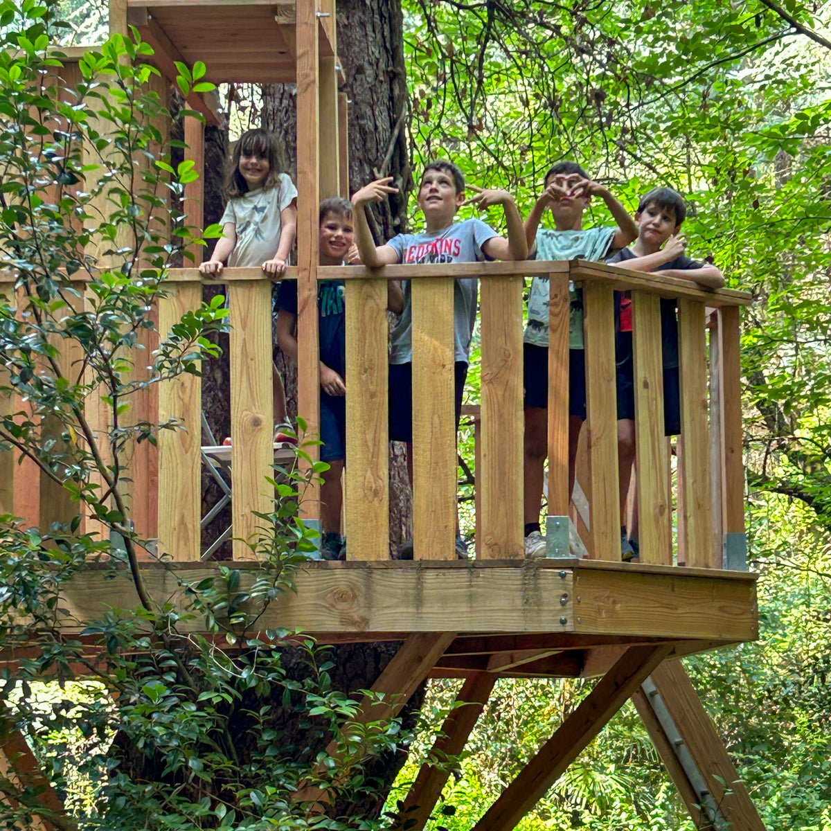 Build Your Own Treehouse 🏡📐 The best ideas & expert tips for planning