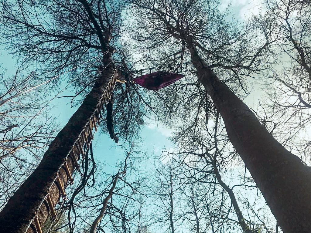 Slinging Ropes Up Trees Tree Support Sling for securing ropes to trees – Safe & tree-friendly