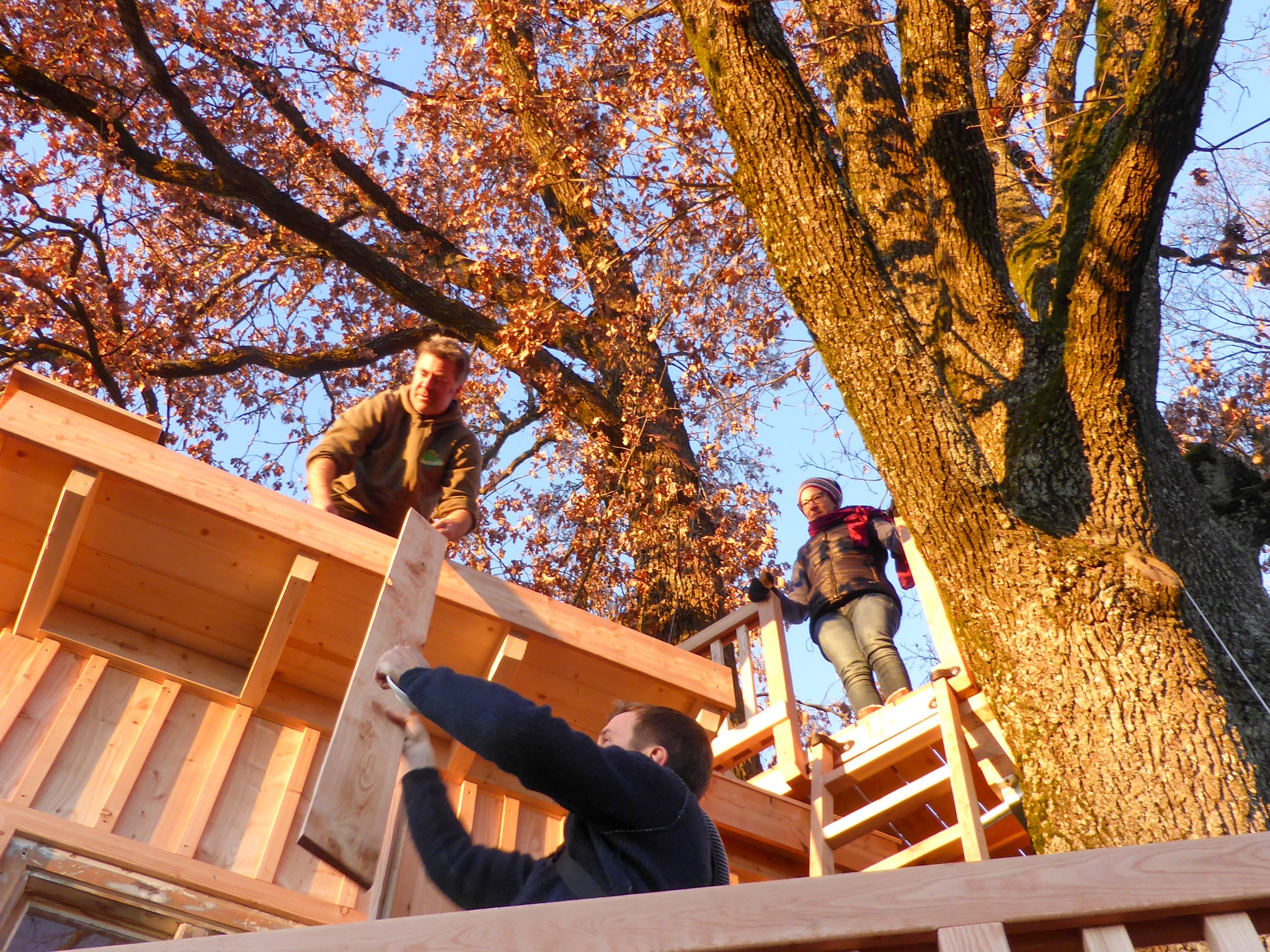 Baumhaus bauen Profi  – 3 Menschen bauen Baumhaus bei Sonnenuntergang Traum im Baum Profi Hardware Fachhandel 