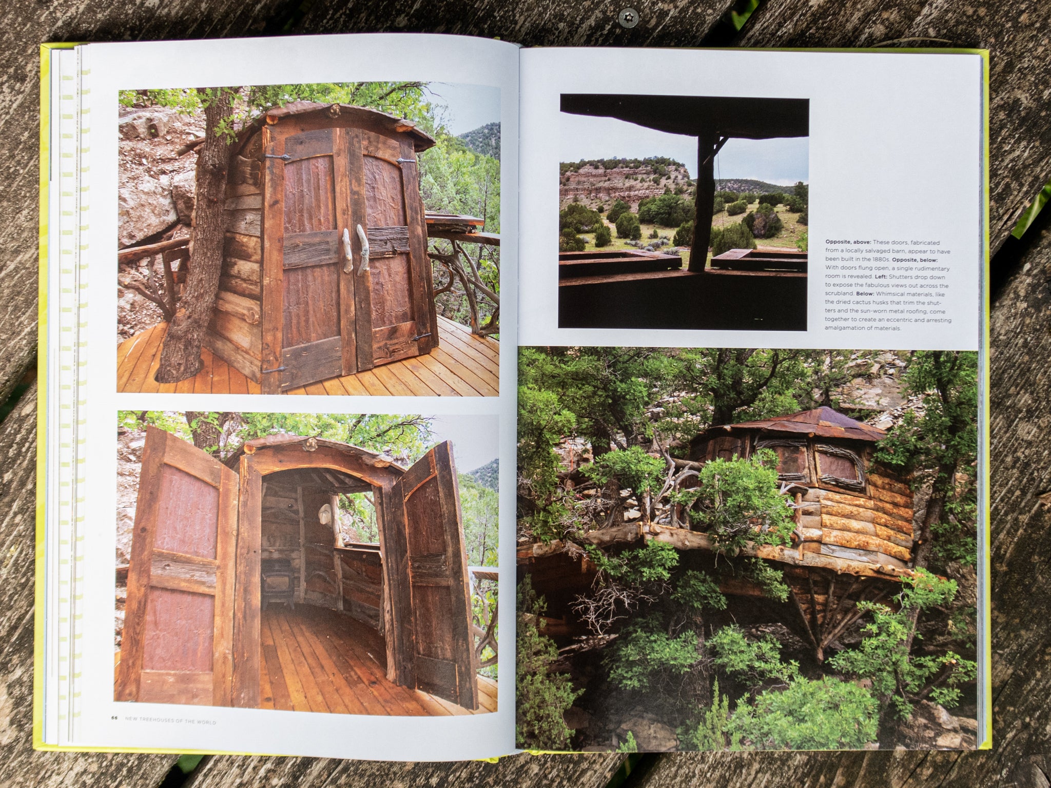 Baumhaus Buch Kunst