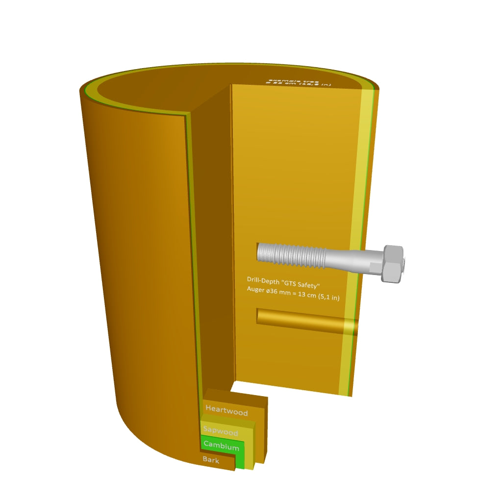 German Treehouse Screw - GTS Safety 2.0 - 3D File in Tree 32cm