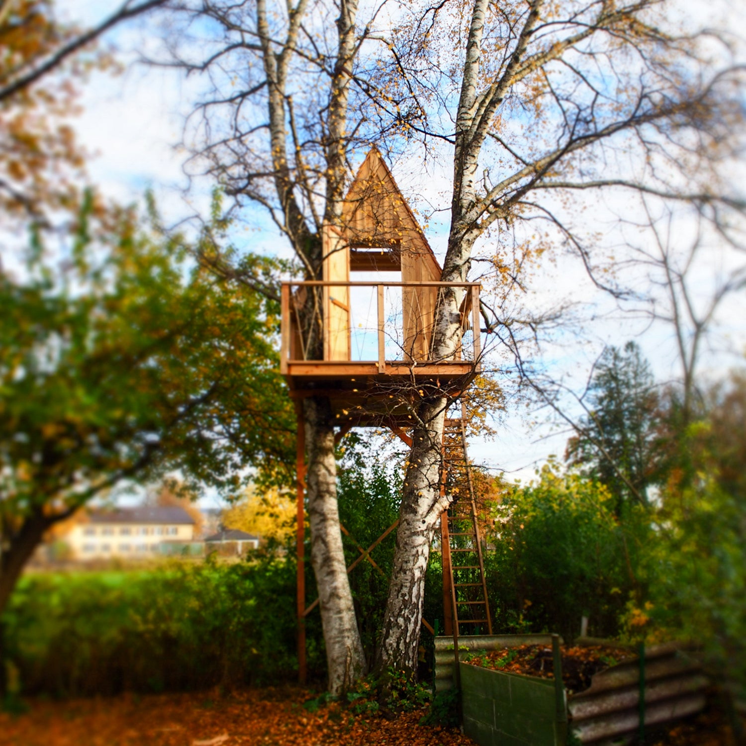 Small DIY kids treehouse in backyard - permit free building