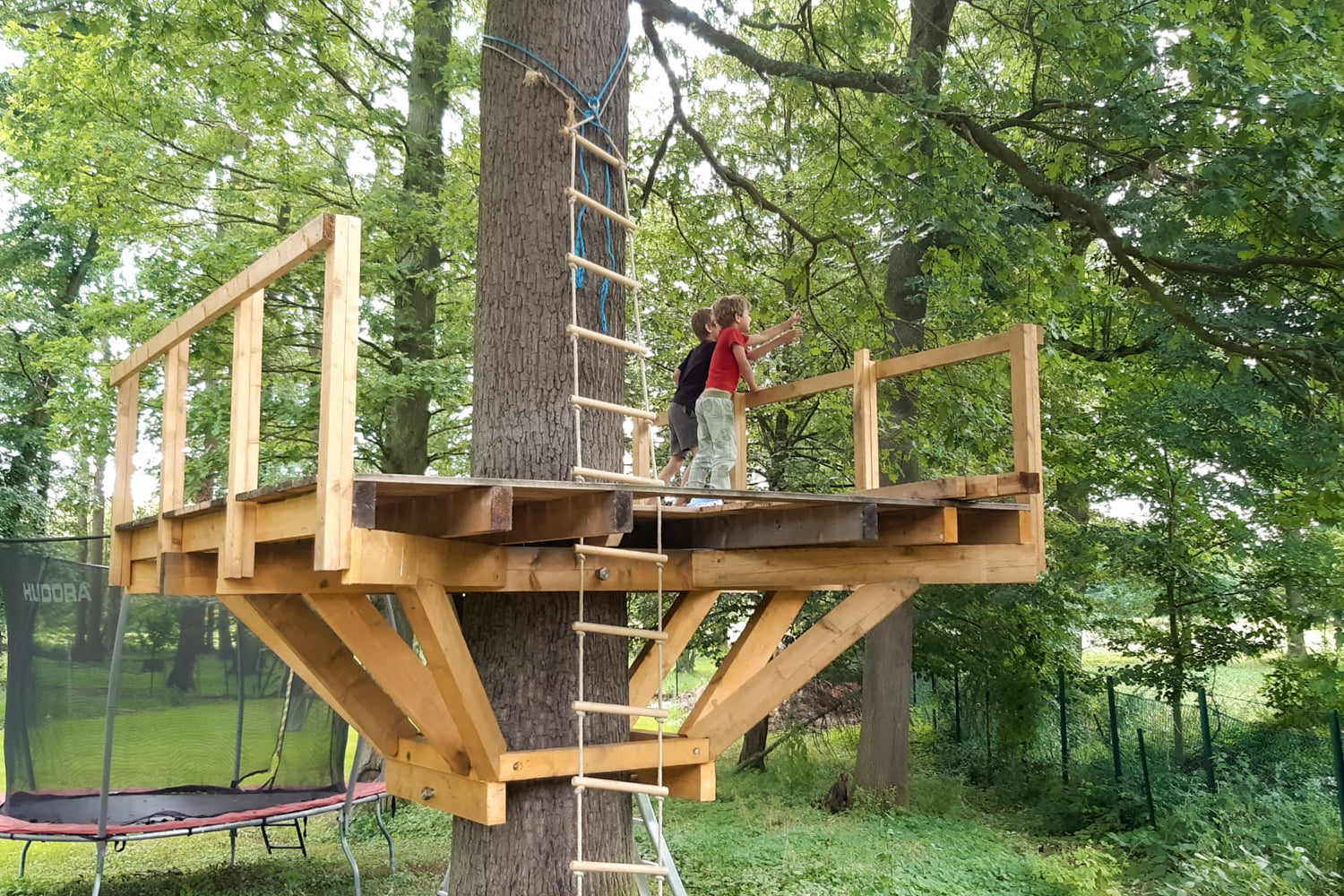 Kids playing on small tree platform