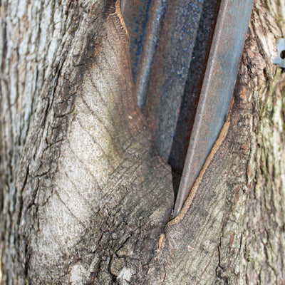 How to secure it properly to the tree trunk 🔨🌲 Sustainable & tree-friendly!