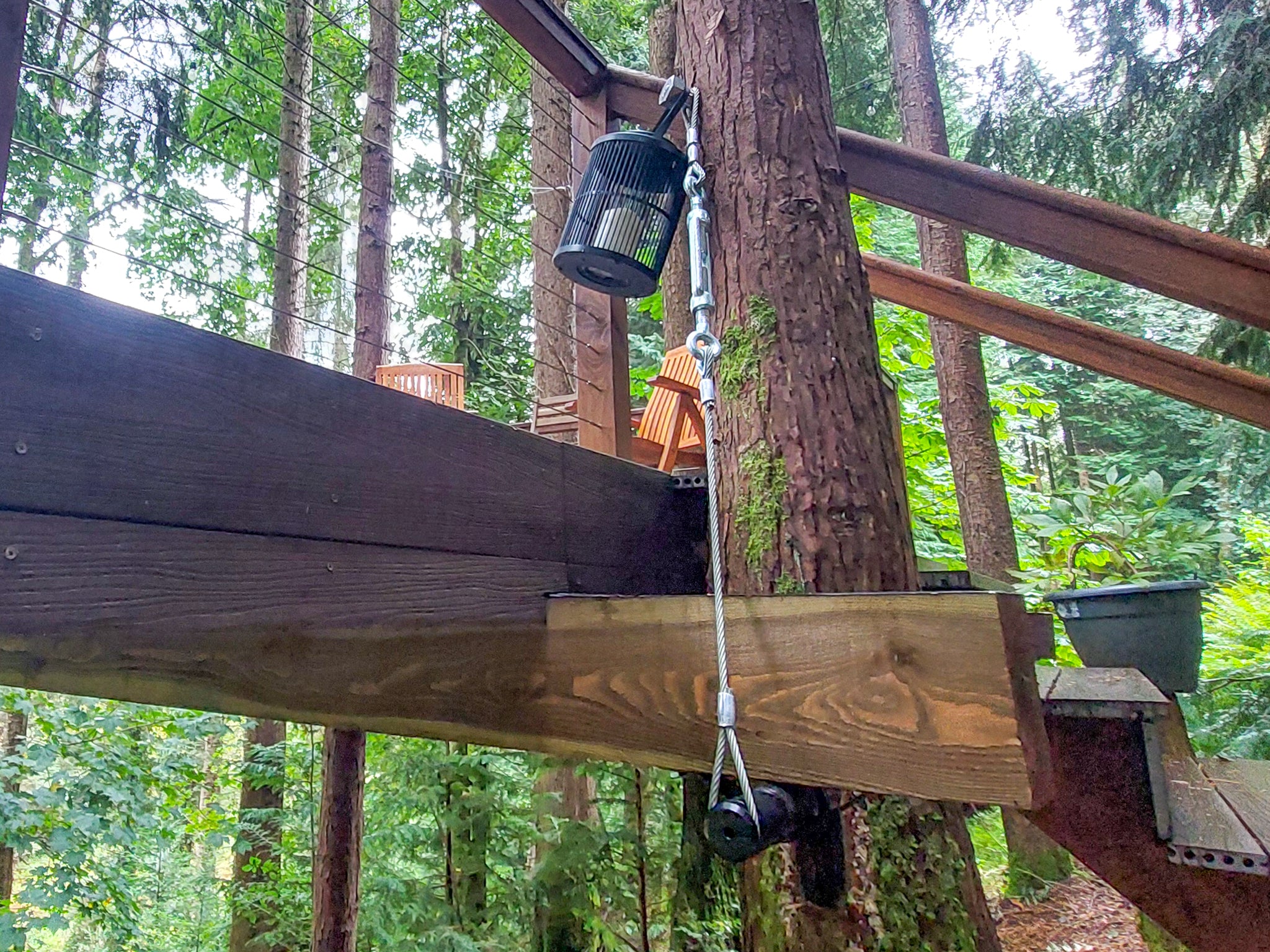GTS Top – Baumschraube bis 2.100 kg Tragkraft