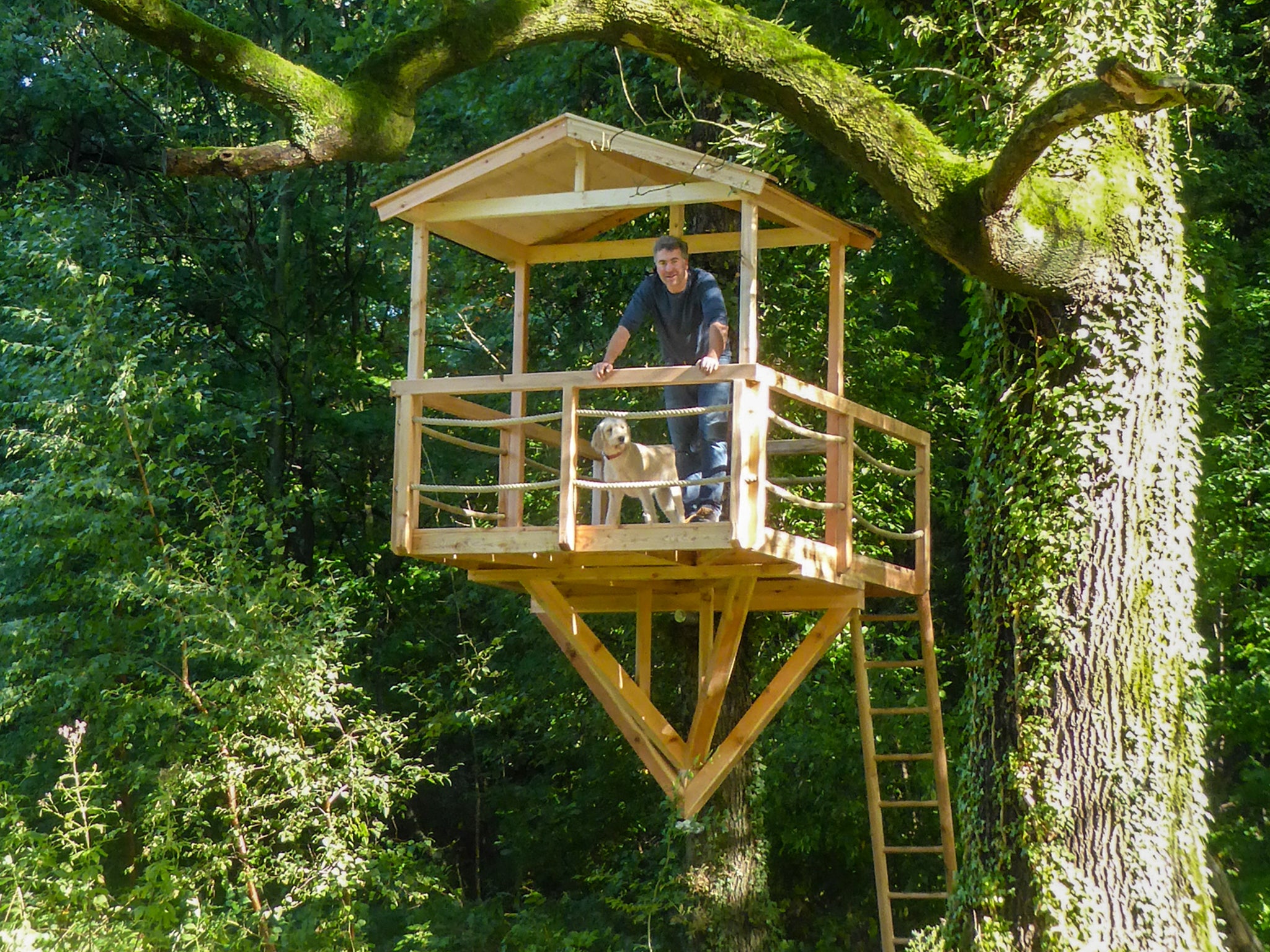 Mini Baumhaus bauen DIY – Profi Baumschraube kaufen – Mann und Hund stehen auf der Plattform vom kleinen Baumhaus – Profi Hardware Fachhandel