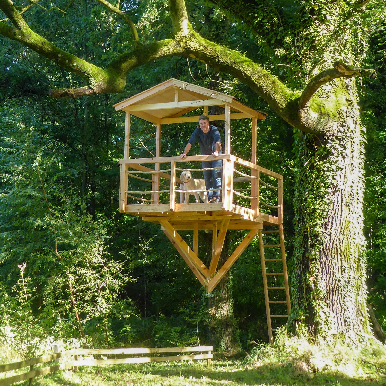 Baumhaus Aussichtsplattform - Einseitig Klein