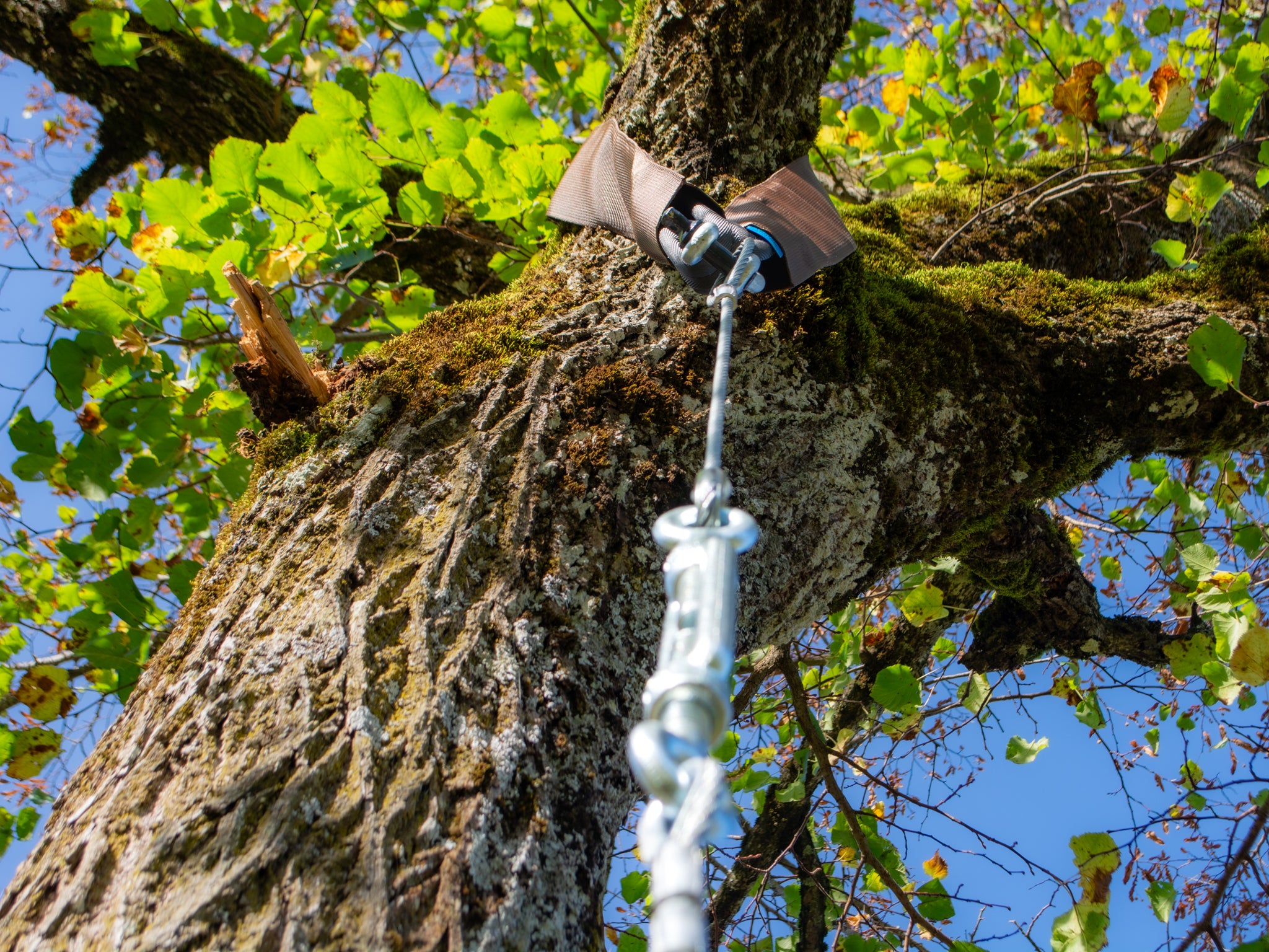 Tree Attachment Sling