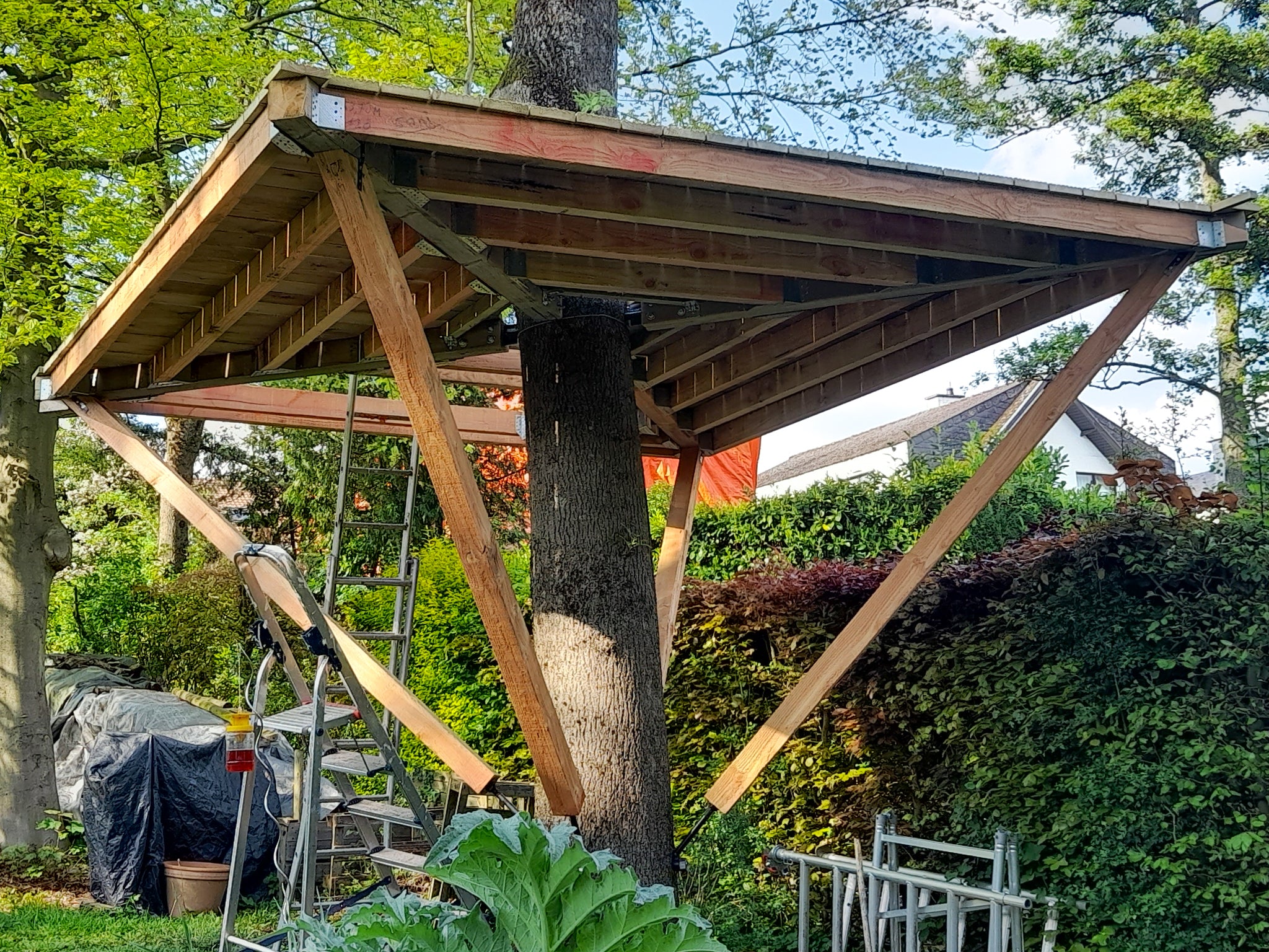 GTS Side – Baumschraube bis 1.200 kg Tragkraft