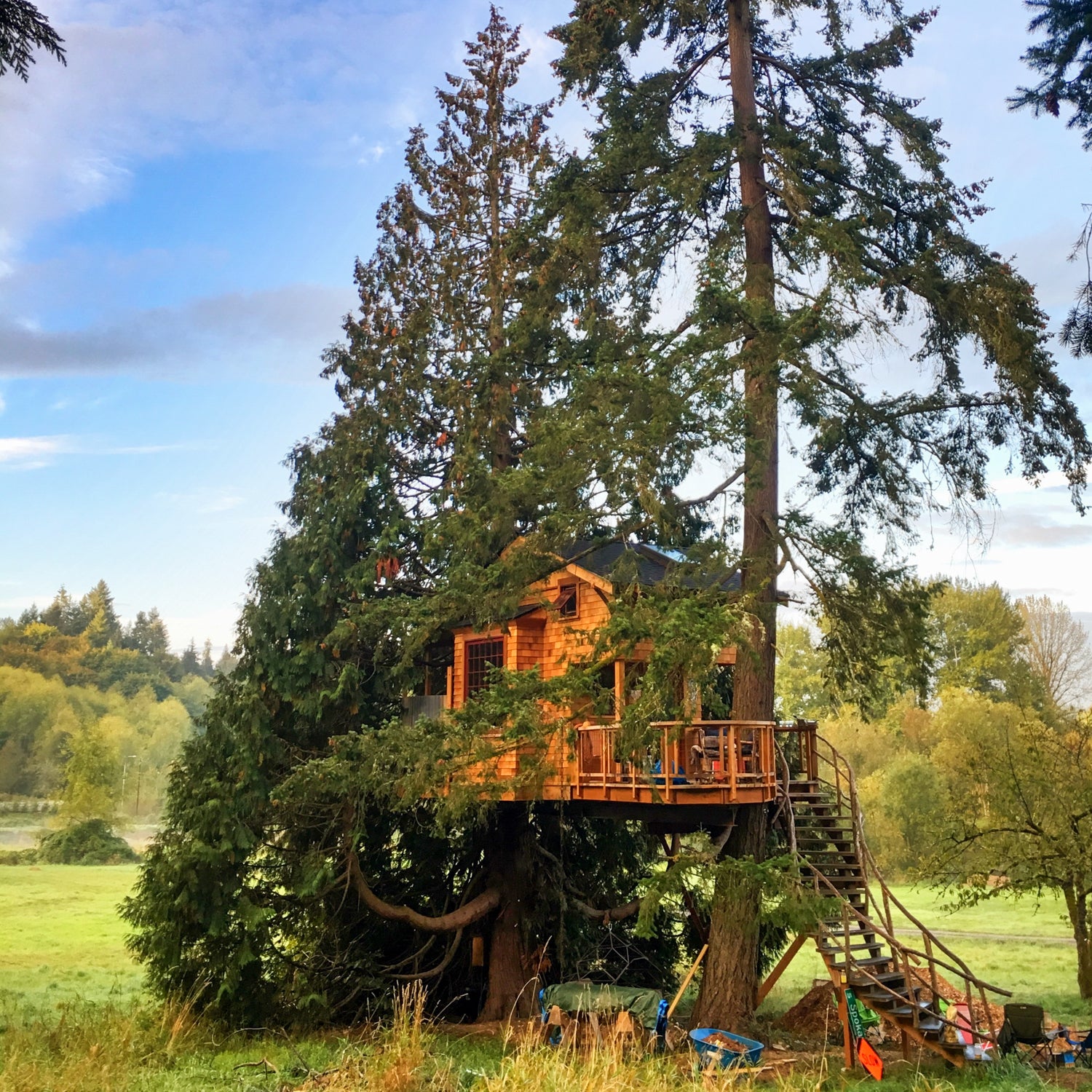 Beautiful treehouse for living by Pete & Charly Nelson - USA