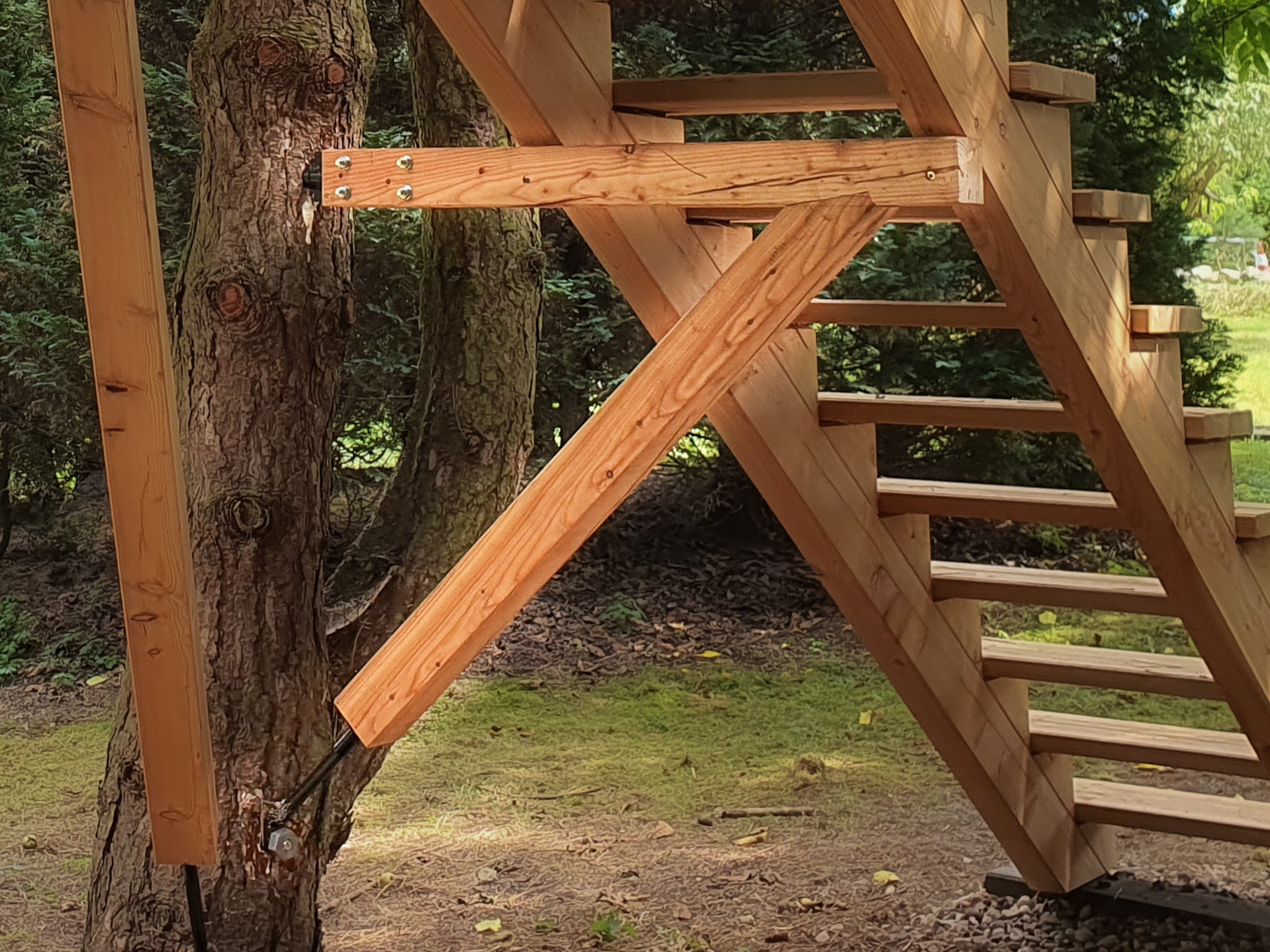 GTS Side – Baumschraube bis 1.200 kg Tragkraft