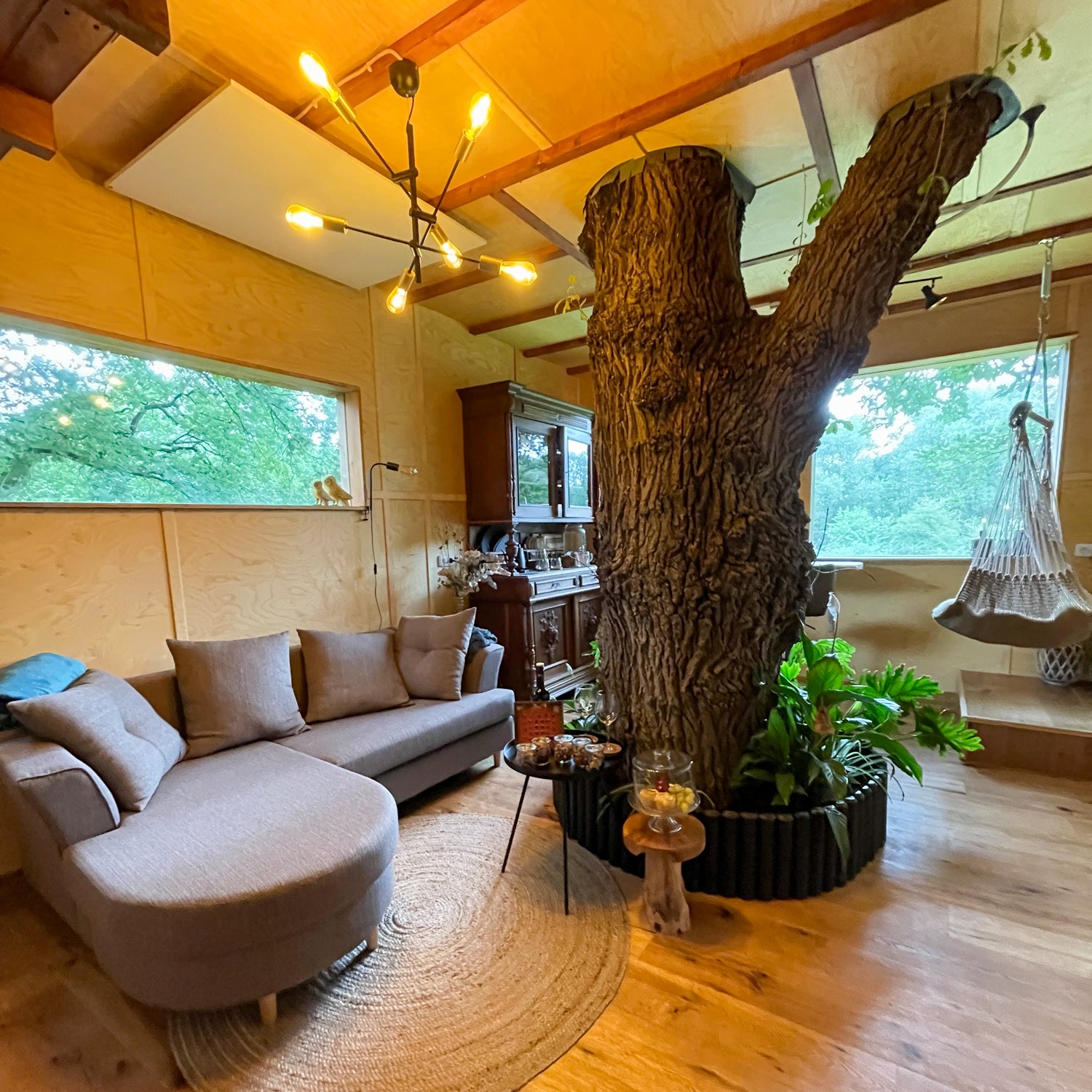 Big tree inside cosy treehouse - by Baumhaus Herberge Bockhop - Hans Maassen