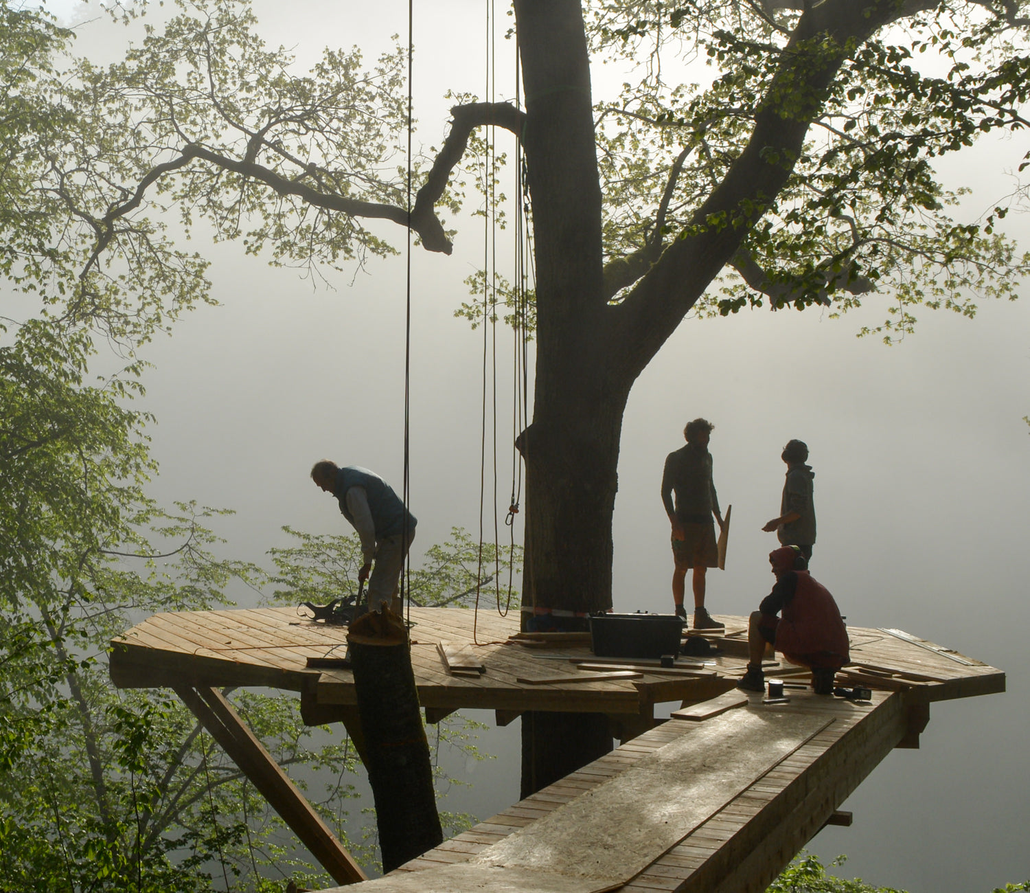 building a treehouse platform wooden construction (by baumbaron)