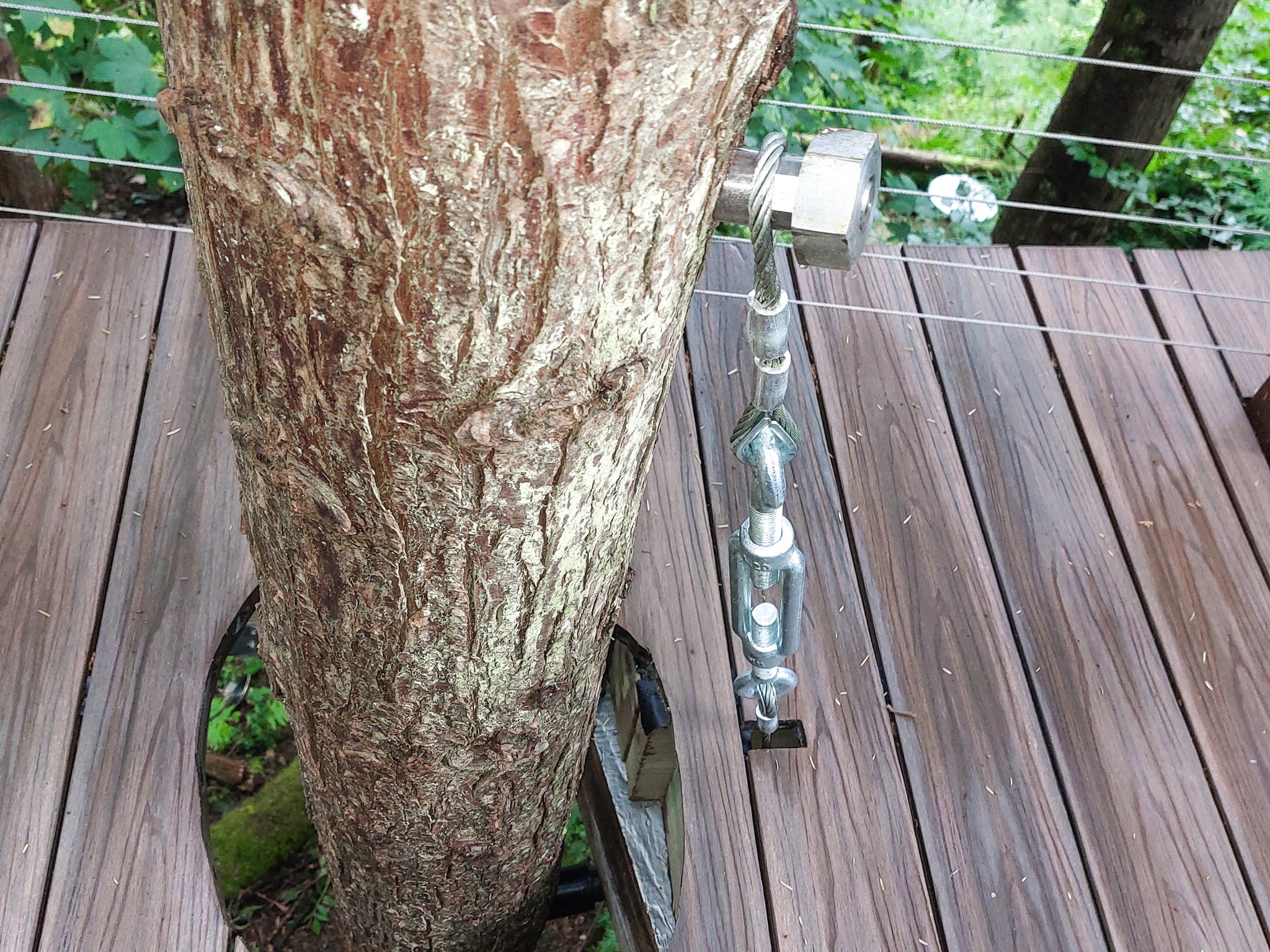 GTS Safety – Baumschraube bis 1.100 kg Tragkraft