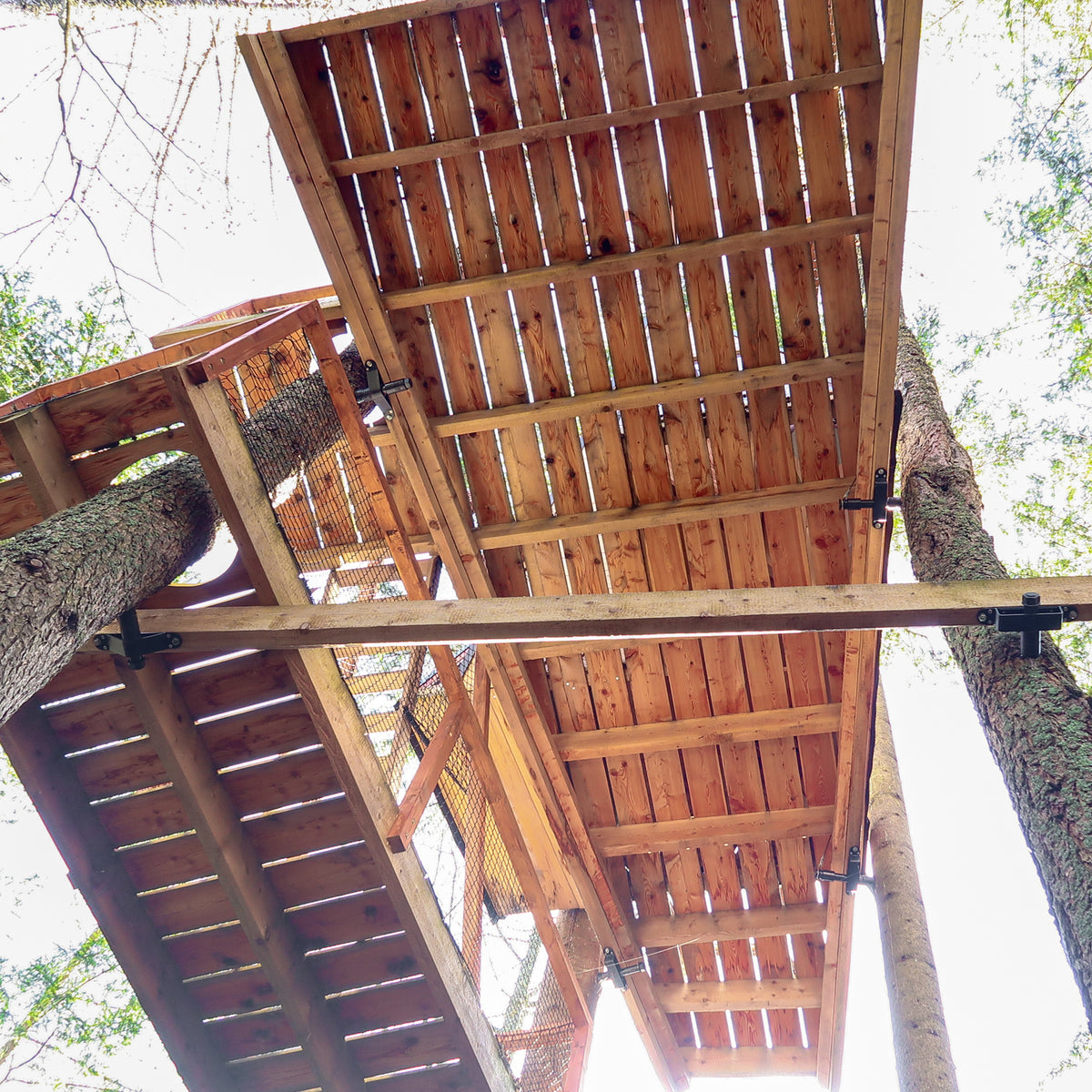 Tree Lock Fastner Baumhaus-Schrauben kaufen 🛠️ German Treehouse Screw GTS