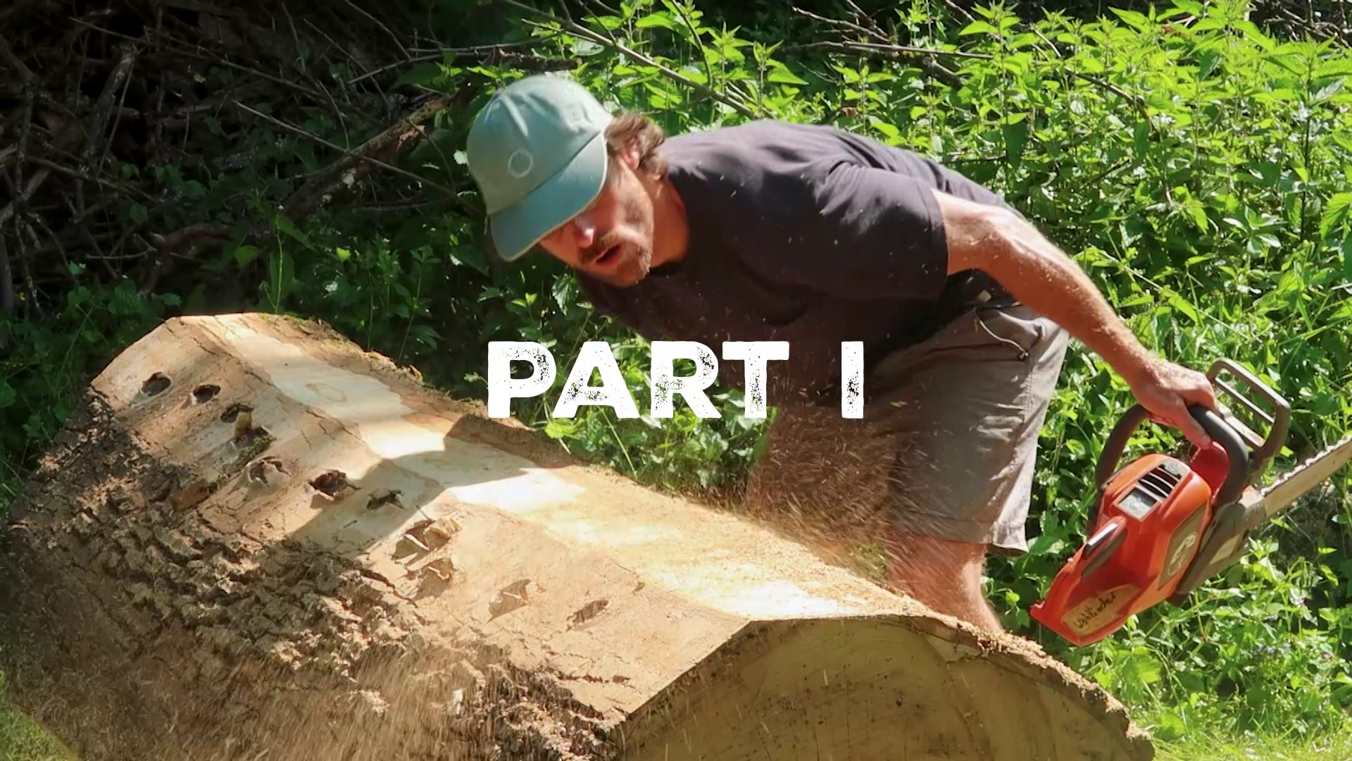 Test Schraube GTS Baumhaus