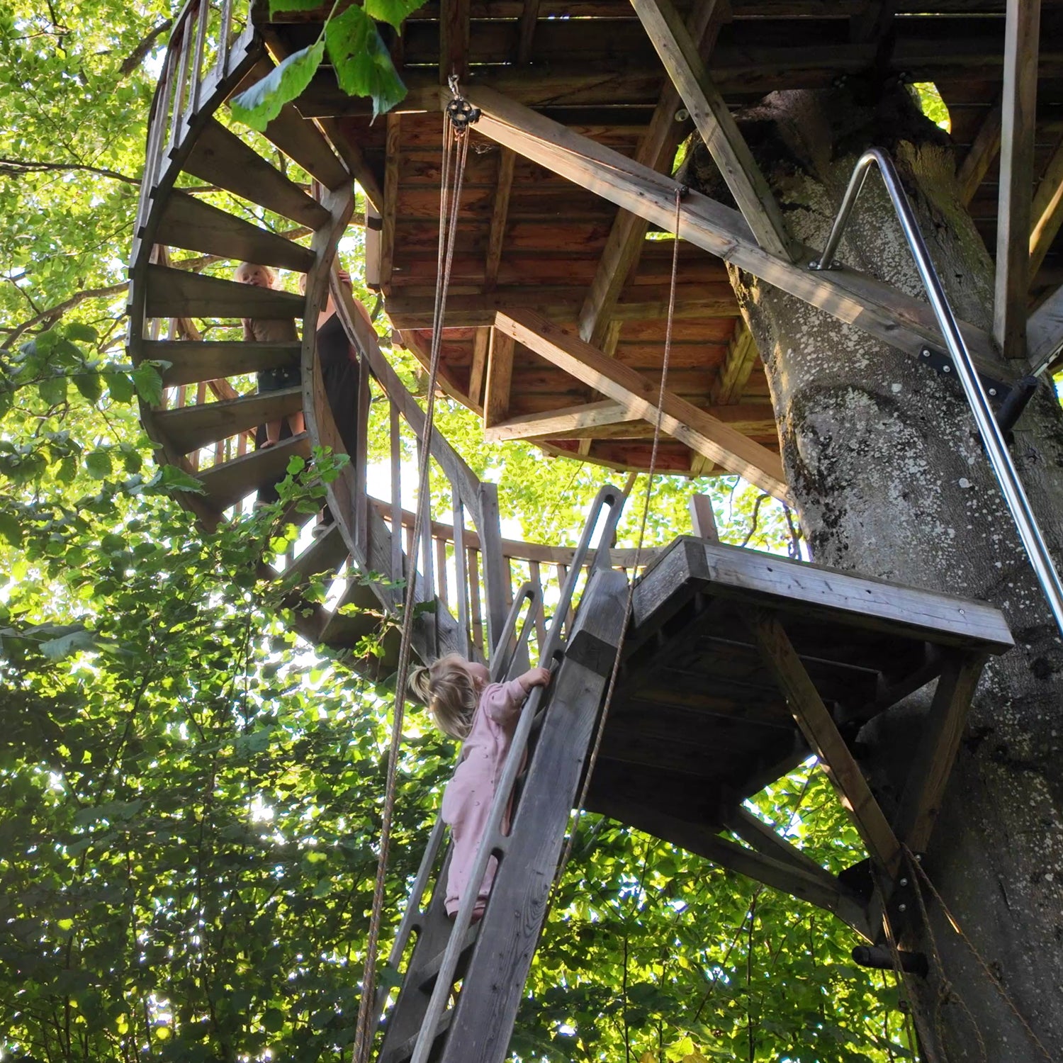 Small toddler kid climbing up treehouse (by baumbaron)
