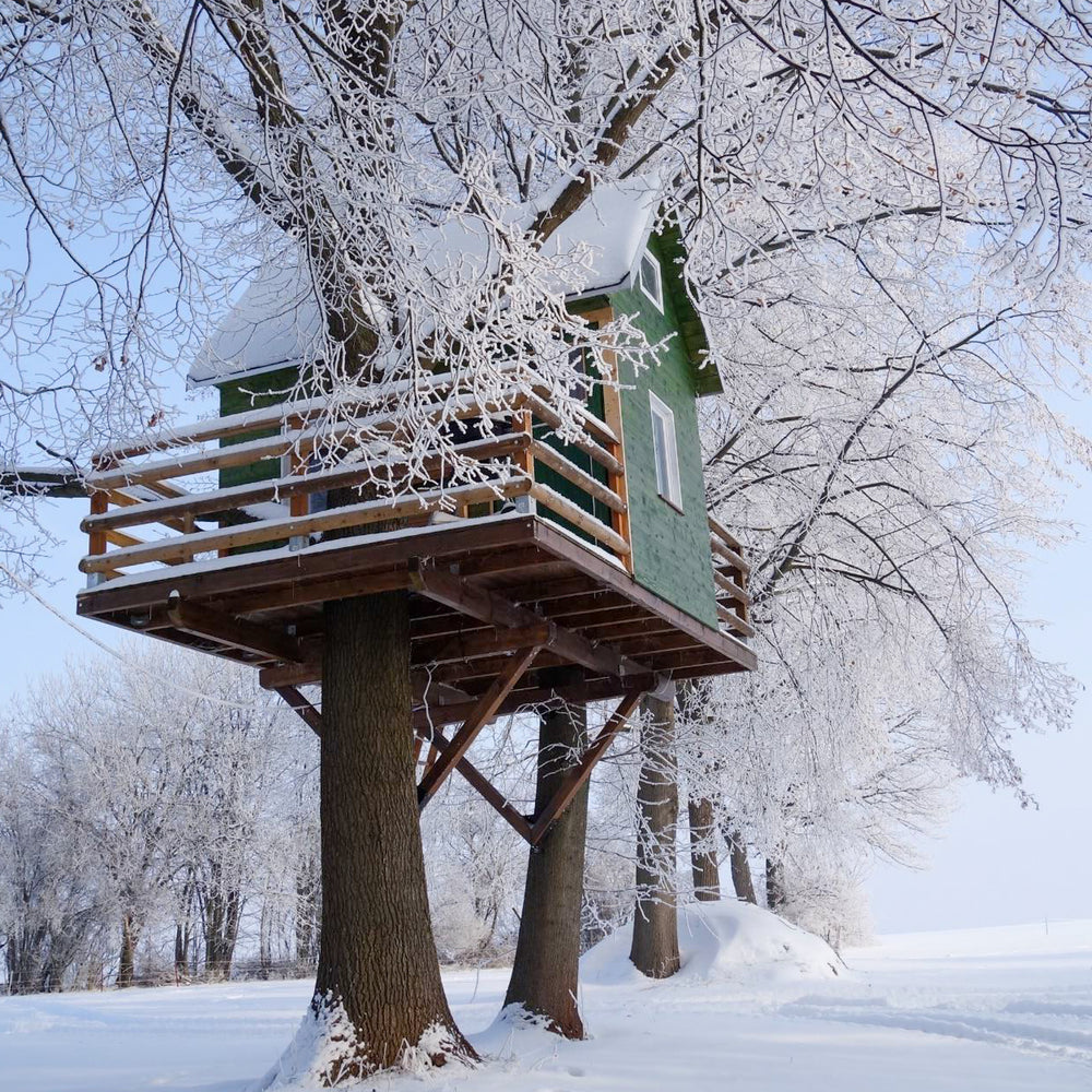 Build Your Own Treehouse 🏡📐 The best ideas & expert tips for planning