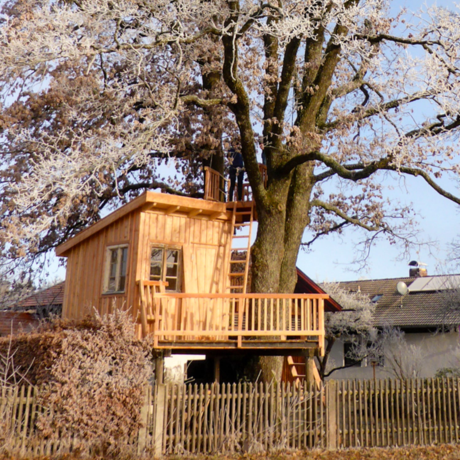 Winter treehouse on stilts for office and sleeping isolated construction (by baumbaron)