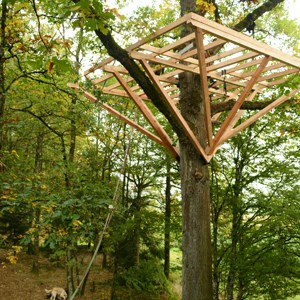 tree house platform raised high in oak tree