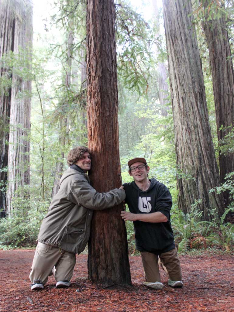 Treehouse builders hug tree like thick