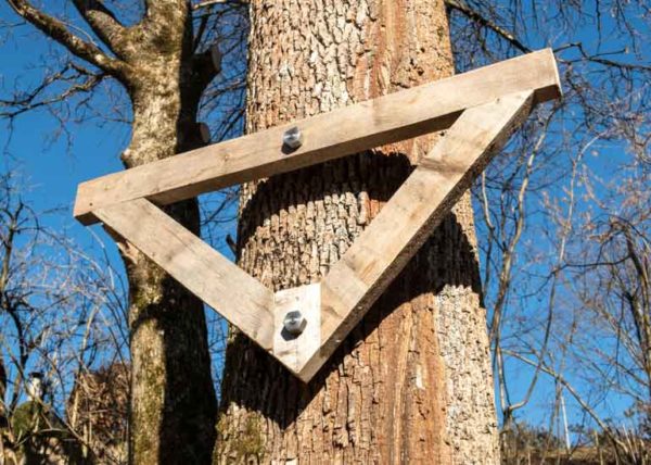 German Treehouse Screw, Garnier Limb, Treehouse Attachment Bolt, TAB, Tree Fastener