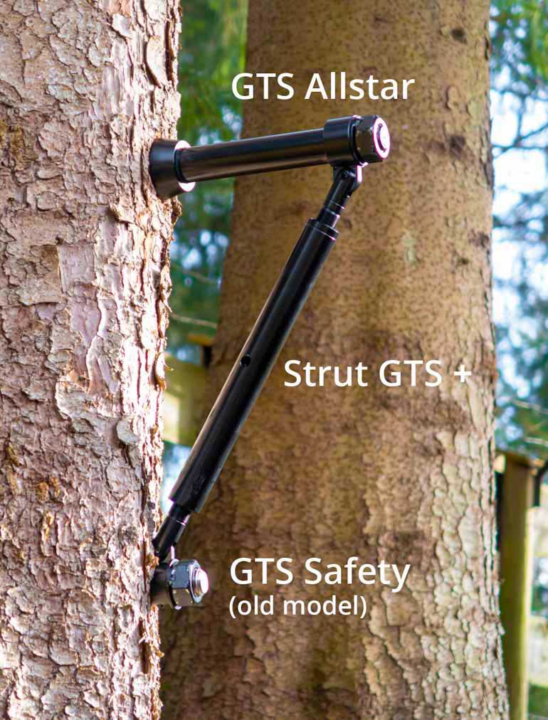 Tree screw reinforced from below with Strut GTS+